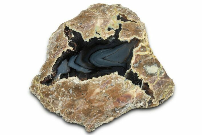 Polished Friend Ranch Thunderegg Half - Oregon #315266